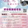 音樂班課程優惠